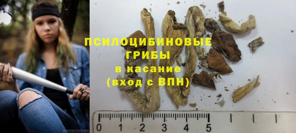 бошки Алексин