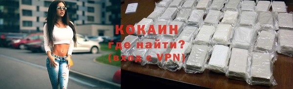 стаф Новозыбков