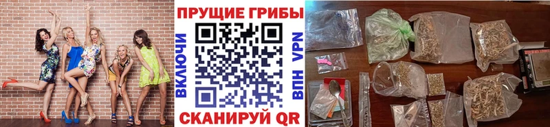 где купить Сольцы Псилоцибиновые грибы MAGIC MUSHROOMS